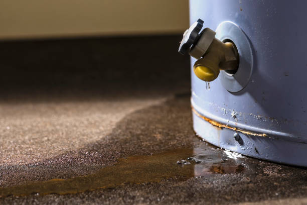 Best 24/7 water damage repair  in Valley View, OH