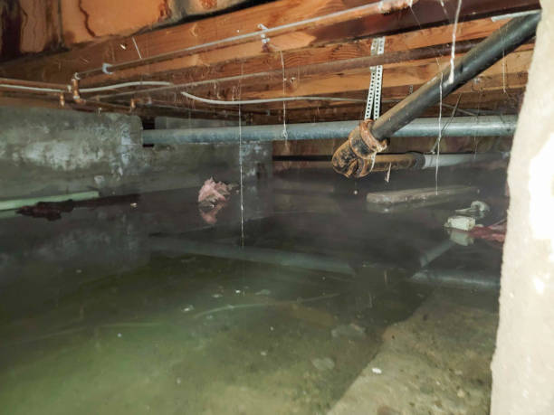 Best 24-hour water damage restoration  in Valley View, OH