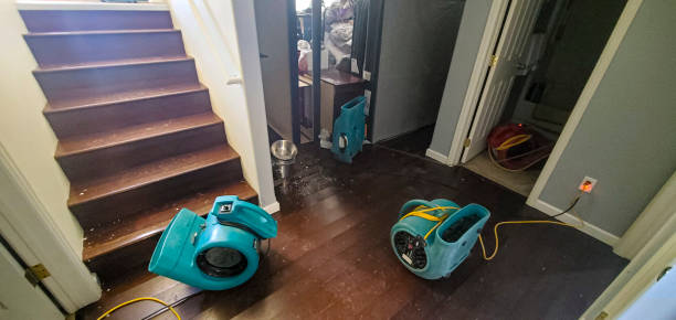 Best Professional water damage repair  in Valley View, OH