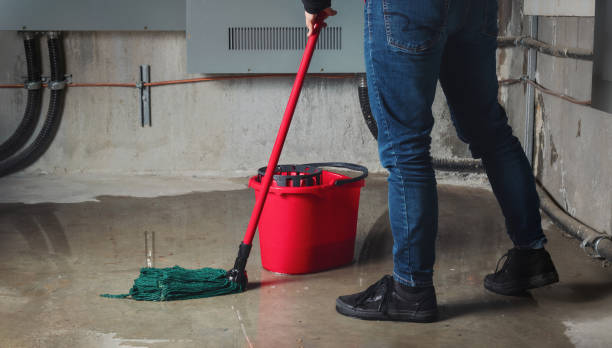 Carpet water damage restoration in Valley View, OH