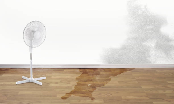 Best Flood restoration services  in Valley View, OH