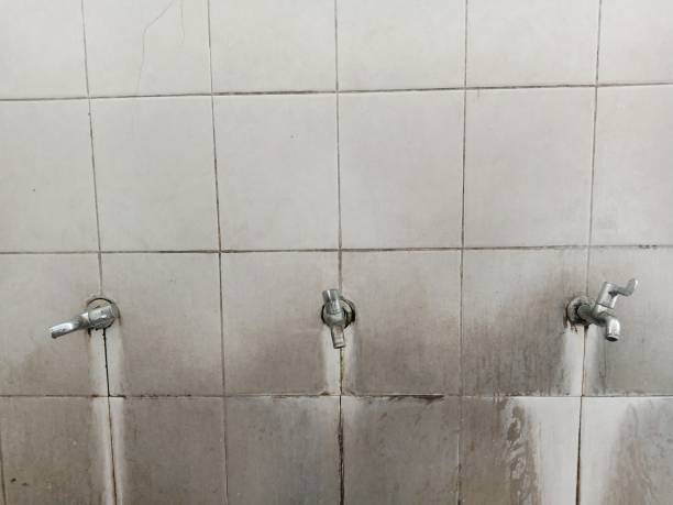 Best Flooded house restoration  in Valley View, OH
