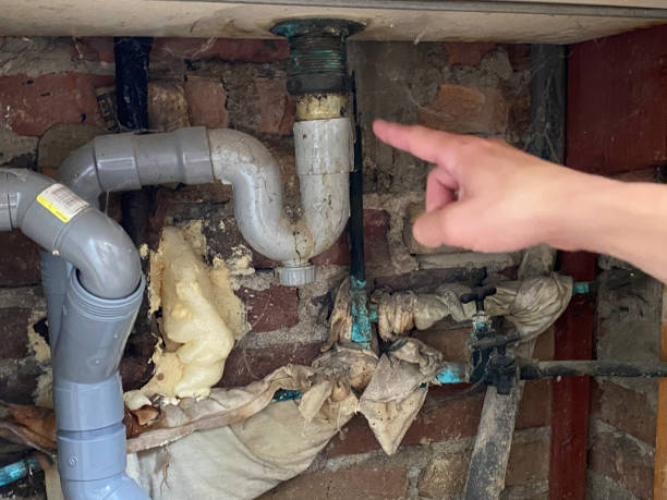 Best Local water damage restoration  in Valley View, OH