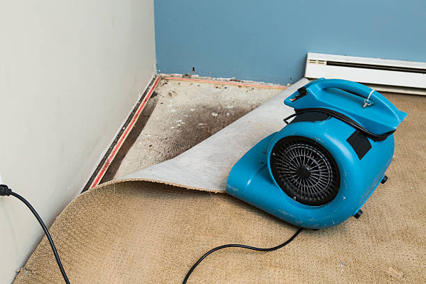 Carpet water damage restoration in Valley View, OH